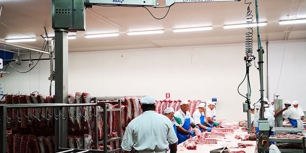 Handling meat with an intelligent device for handling INDEVA